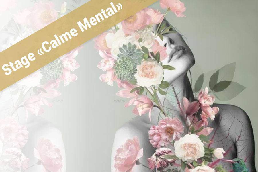 Stage  Calme Mental 